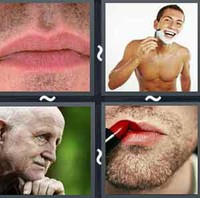 4 Pics 1 Word Levels Stubble