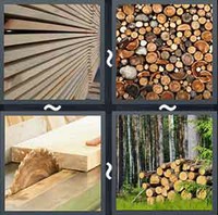 4 Pics 1 Word Levels Timber