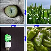 Whats the Word Green