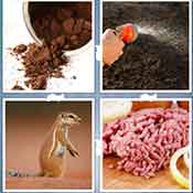 Whats the Word Ground
