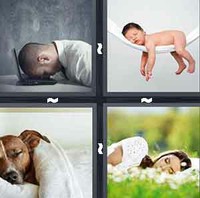 4 Pics 1 Word Levels Sleep
