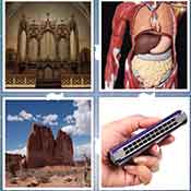 Whats the Word Organ