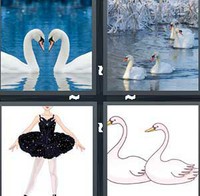 4 Pics 1 Word Levels Swans