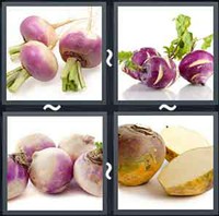 4 Pics 1 Word Levels Turnip