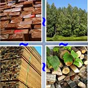 Whats the Word Wood