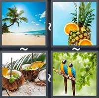 4 Pics 1 Word Levels Tropical