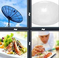 4 Pics 1 Word Dish