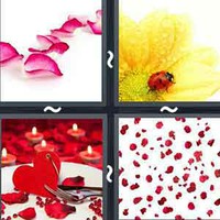 4 Pics 1 Word Levels Petals