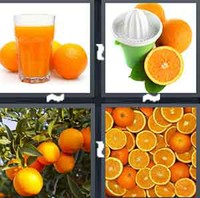 4 Pics 1 Word Levels Oranges