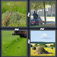 4 Pics 1 Word Levels Mow