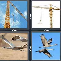 4 Pics 1 Word Levels Crane