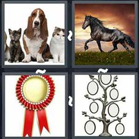 4 Pics 1 Word Levels Pedigree