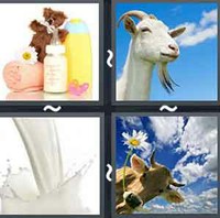 4 Pics 1 Word Milk