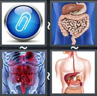4 Pics 1 Word Appendix