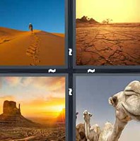 4 Pics 1 Word Levels Desert