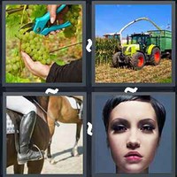 4 Pics 1 Word Levels Crop
