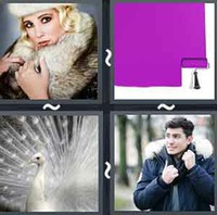 4 Pics 1 Word Coat