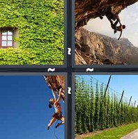 4 Pics 1 Word Levels Climber