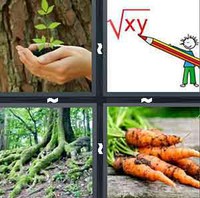 4 Pics 1 Word Levels Root