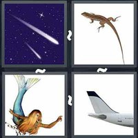 4 Pics 1 Word Tail