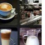 What's that Word Latte