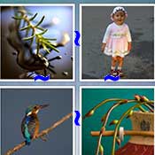 Whats the Word Twig
