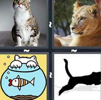 4 Pics 1 Word Levels Feline