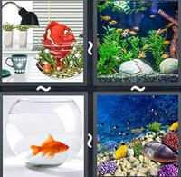 4 Pics 1 Word Levels Aquarium