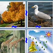 Whats the Word Nature