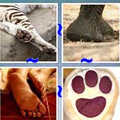 Whats the Word Foot