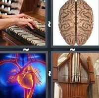 4 Pics 1 Word Levels Organ