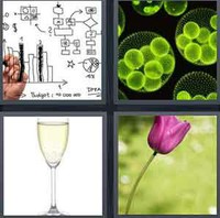 4 Pics 1 Word Stem