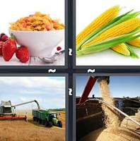 4 Pics 1 Word Levels Corn