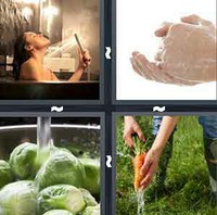 4 Pics 1 Word Levels Rinse