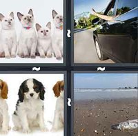 4 Pics 1 Word Levels Litter