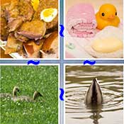 Whats the Word Duck
