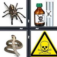 4 Pics 1 Word Levels Deadly