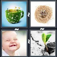 4 Pics 1 Word Life