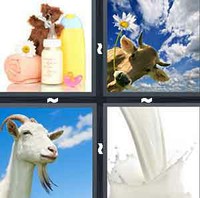 4 Pics 1 Word Levels Milk