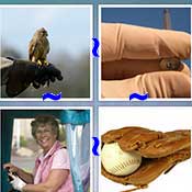 Whats the Word Glove