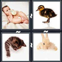 4 Pics 1 Word Levels Baby