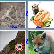 Whats the Word Dog