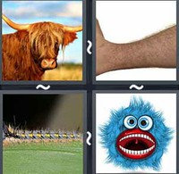 4 Pics 1 Word Levels Hairy