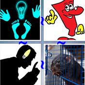 Whats the Word Idea