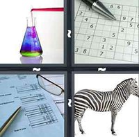 4 Pics 1 Word Levels Solution