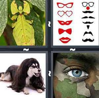 4 Pics 1 Word Levels Disguise