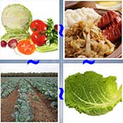 Whats the Word Cabbage