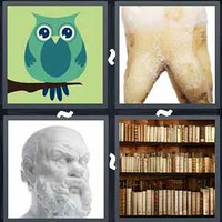 4 Pics 1 Word Levels Wisdom