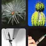 What's that Word Needles