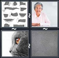 4 Pics 1 Word Gray